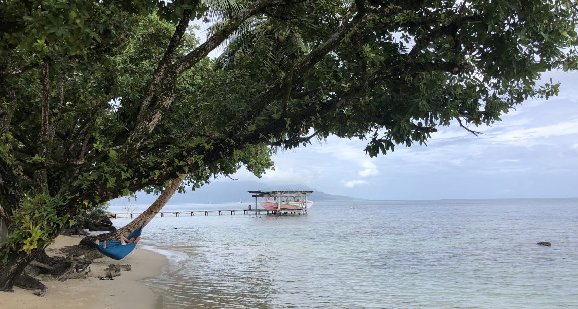 Tamanu - huile de calophylle