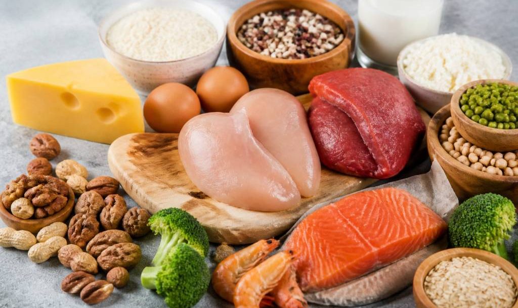 Aliments avec proteine : les meilleurs choix pour mieux manger