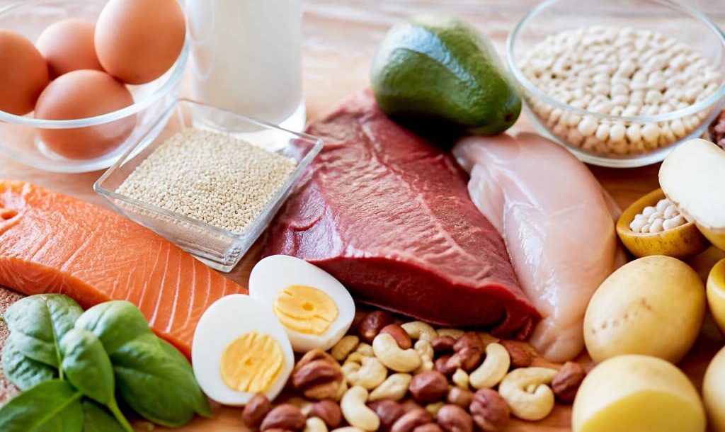 Aliment avec des protéines : quels aliments choisir au quotidien