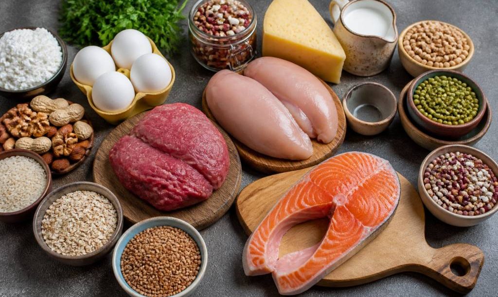 Liste des aliment protéiné : quels aliments riches en protéines choisir