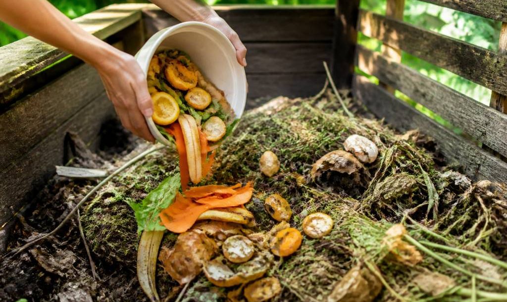 Compostable : comprendre les matériaux et leurs usages