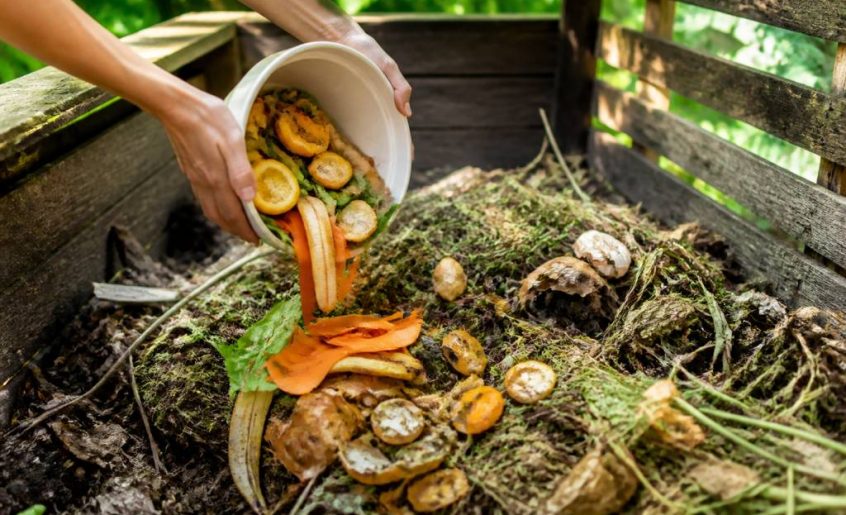 Compostable : comprendre les matériaux et leurs usages