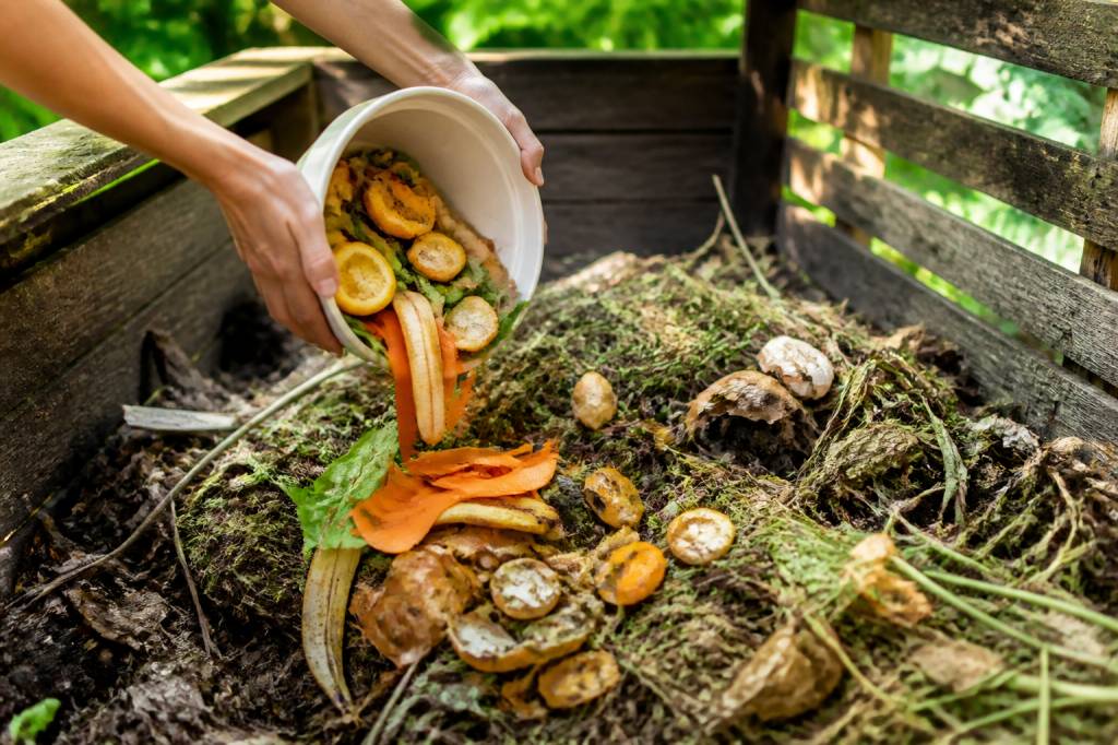 Compostable : comprendre les matériaux et leurs usages