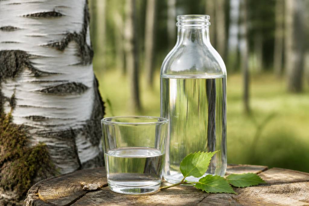 Eau de bouleau bienfait : quels sont ses atouts pour la santé ?