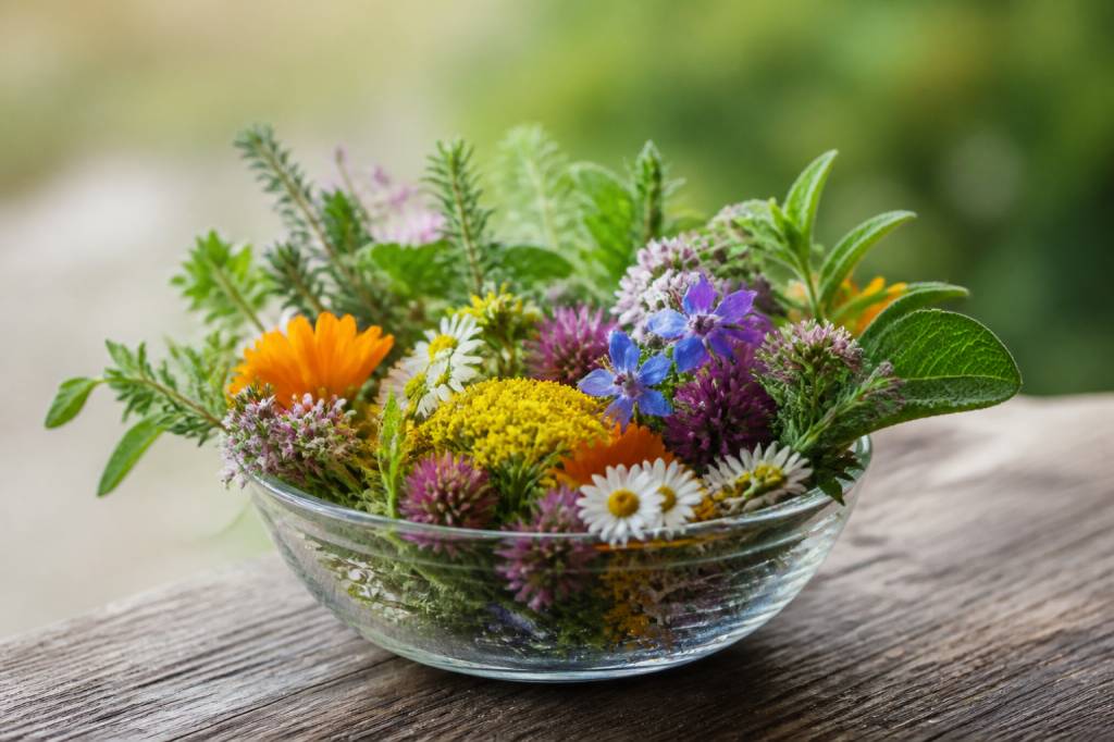 Les mirliflores : origine, signification et usages du terme