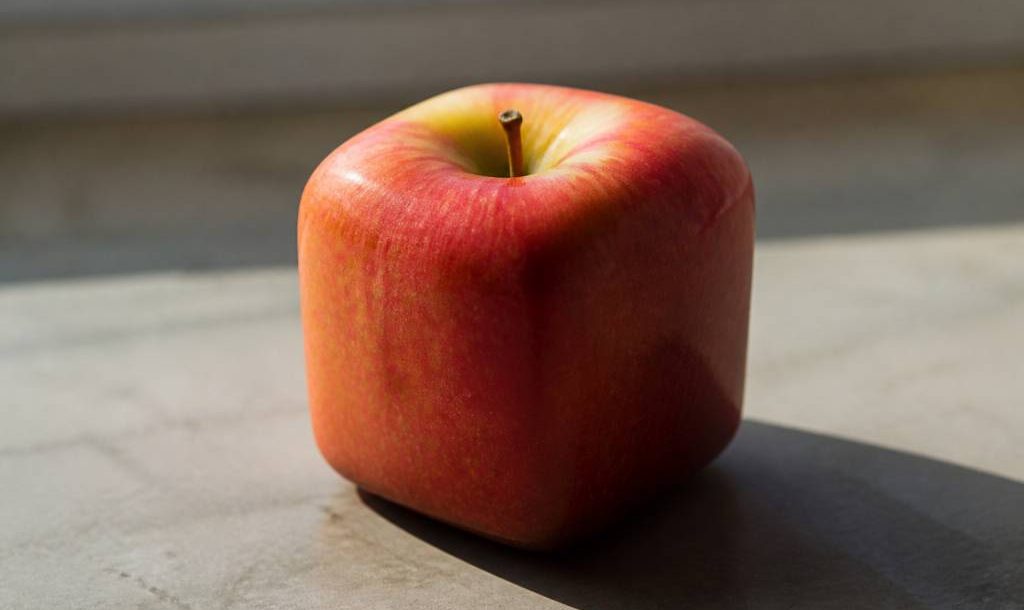 Ceci n est pas une pomme : quand l’image trompe notre perception