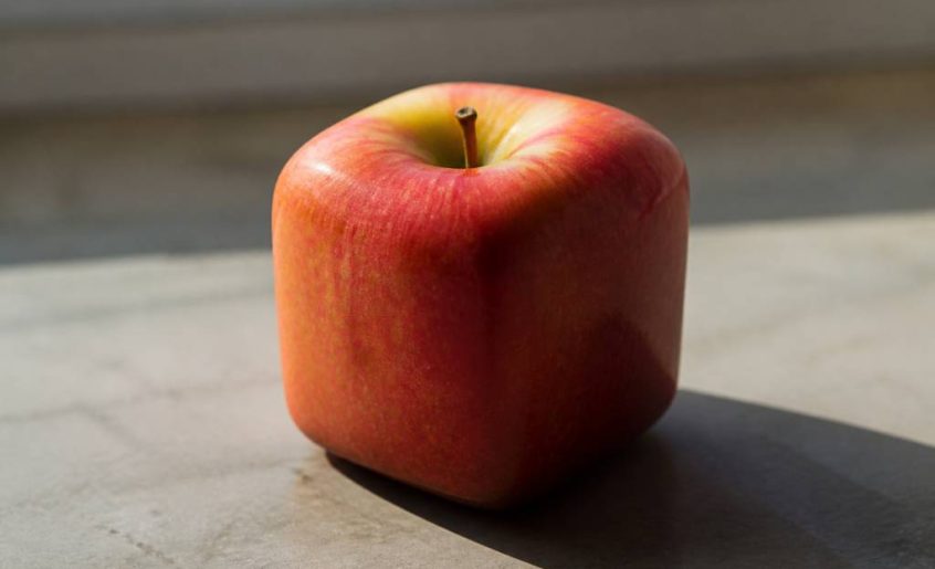 Ceci n est pas une pomme : quand l’image trompe notre perception