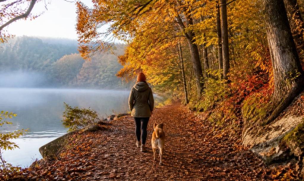 Activités novembre : les meilleures idées pour profiter de l’automne