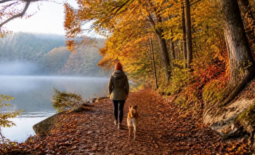 Activités novembre : les meilleures idées pour profiter de l’automne