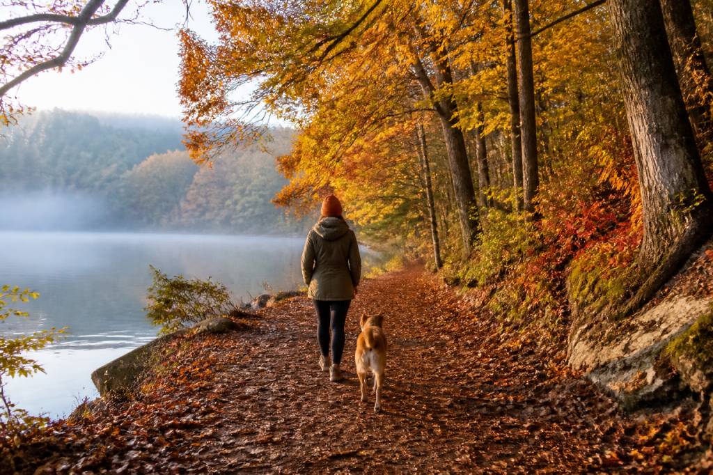 Activités novembre : les meilleures idées pour profiter de l’automne